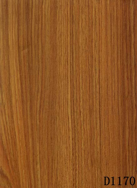 �ģ�������