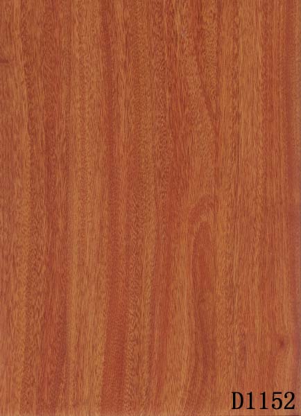 �ģ�������