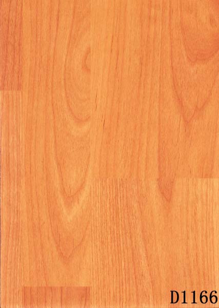 �ģ�������