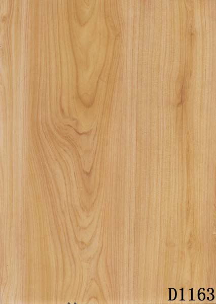 �ģ�������