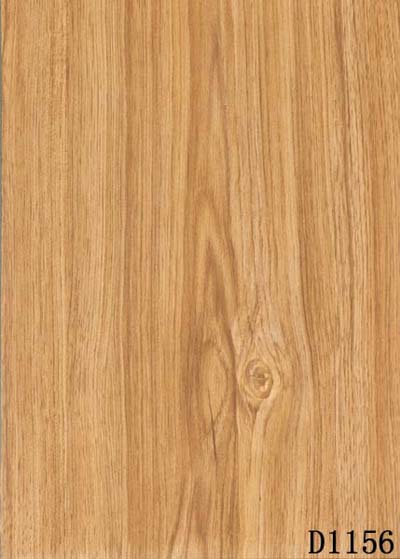 �ģ�������