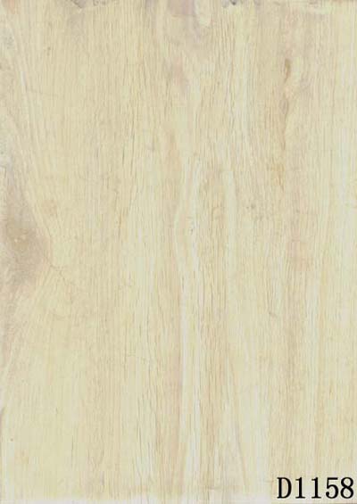 �ģ�������