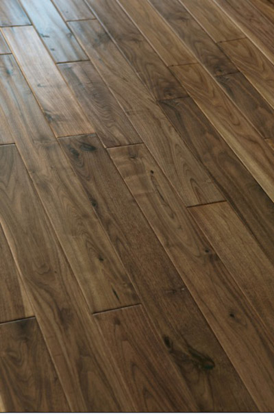 Black walnut light-colored